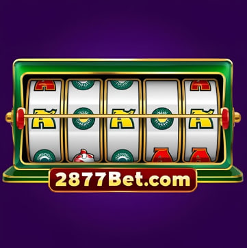 2877bet